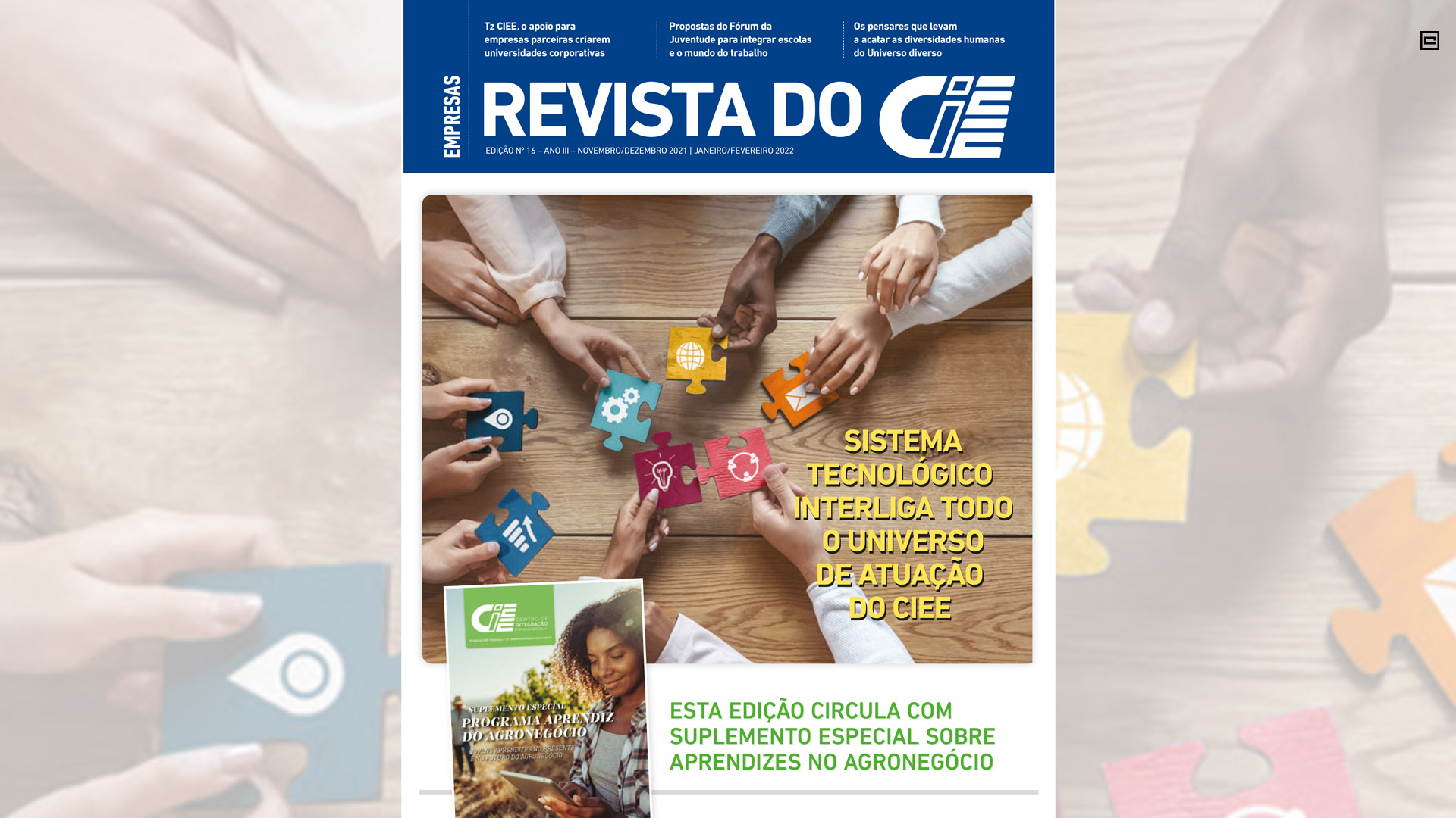 Revista do CIEE Empresas 16